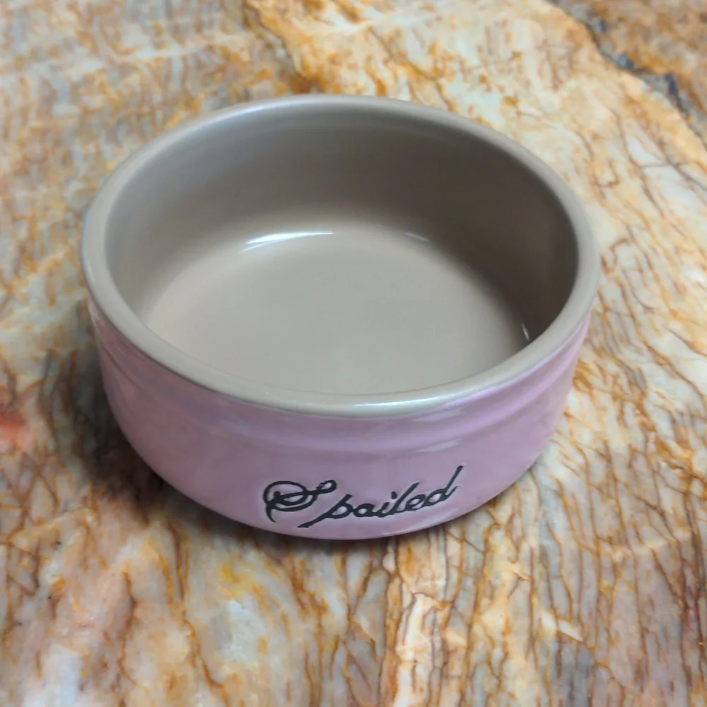 SPOILED Cat Dog Food Bowl